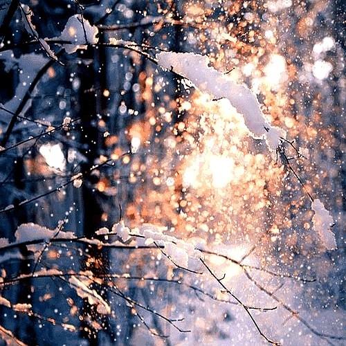 岁月渐寒，真情不冷，雪花是冬天的信使，天冷记得加衣。
天一冷你就开始惦记人，把热