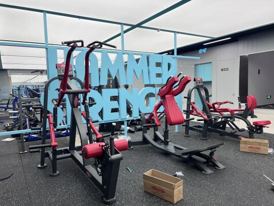 虹桥健身24/7 Panatta 意大利炮已准备好