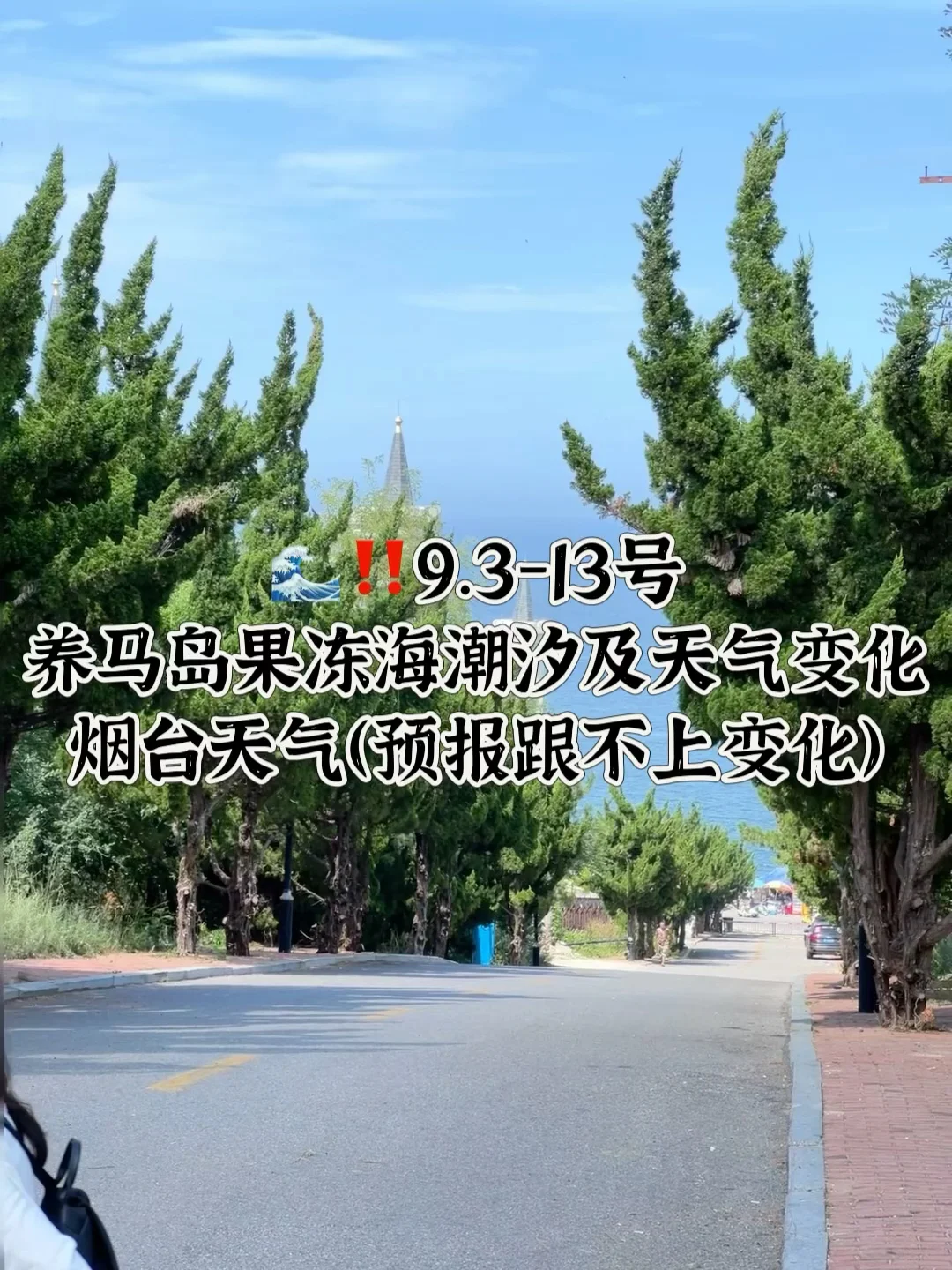 📍9.3-9.14号烟台养马岛果冻海潮汐及天气