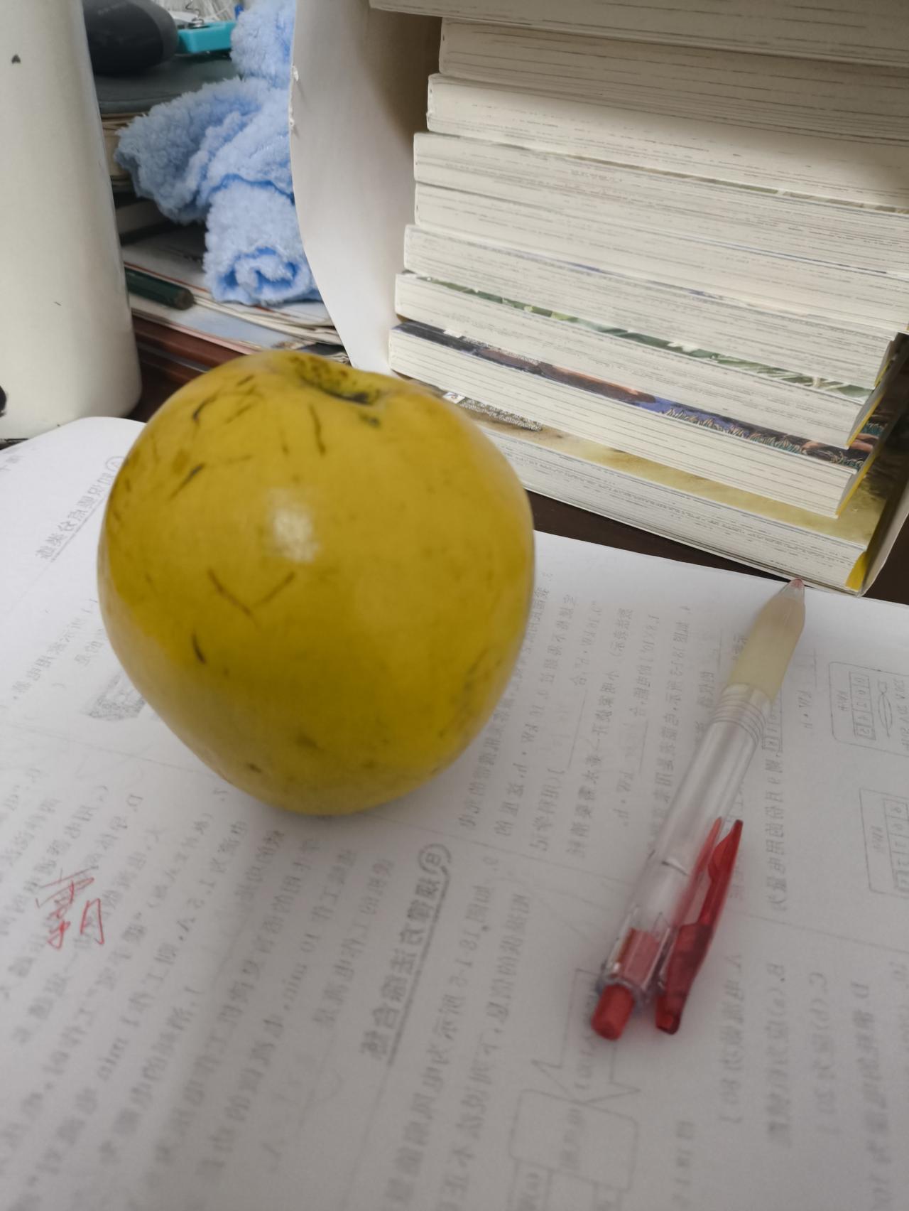 分享我这周有趣的事：接孩子放学路上捡到一个闻香木瓜（酸木瓜），回家后放桌子上，好