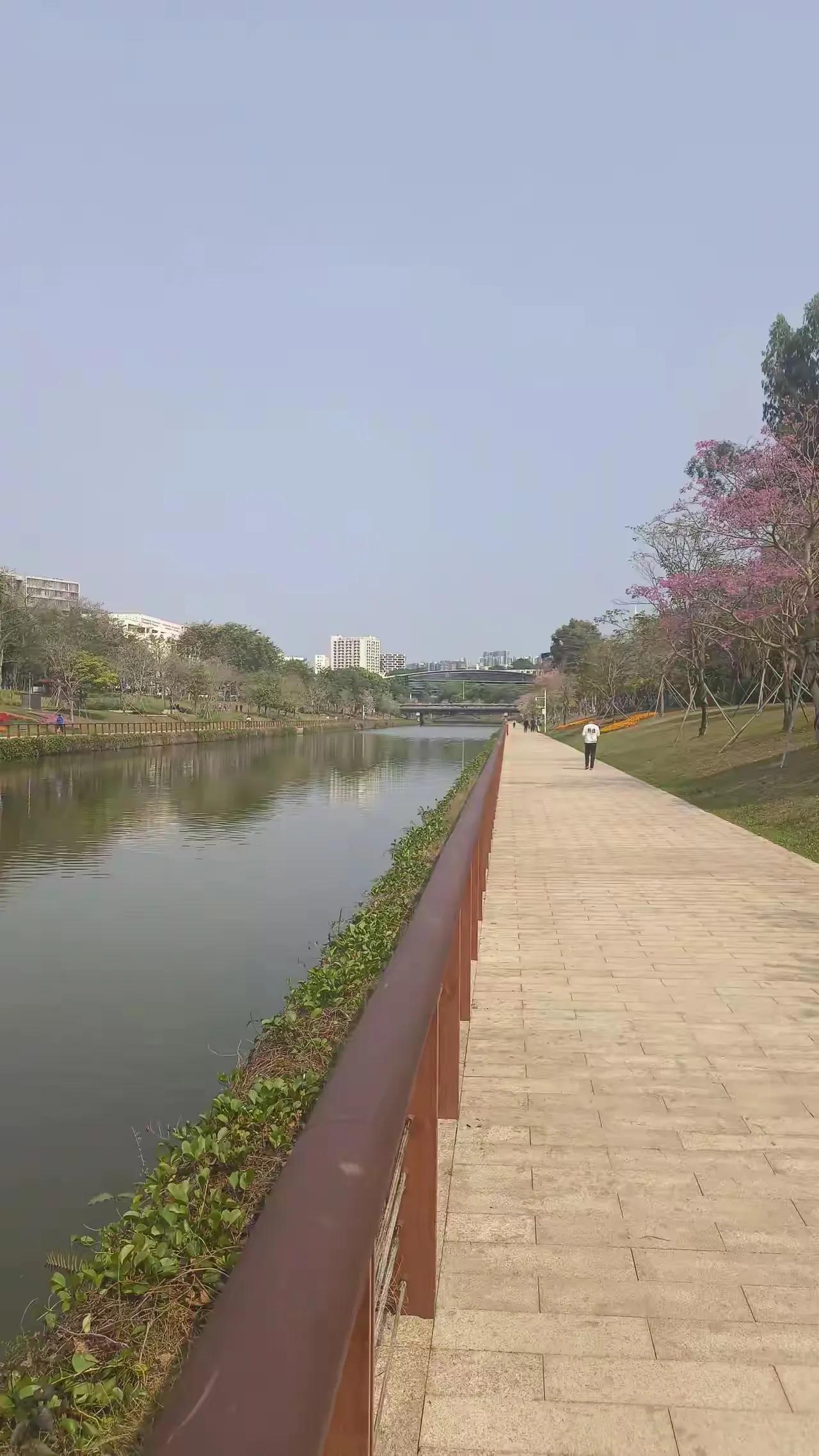 是的[作揖][作揖][作揖]
这一章。就是继续讨论取天下，不可以兵强天下，这个问