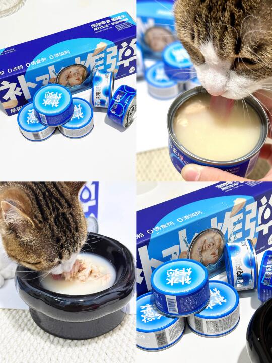 🐈·🥣💦| 补水困难？有它猫咪爱上喝水