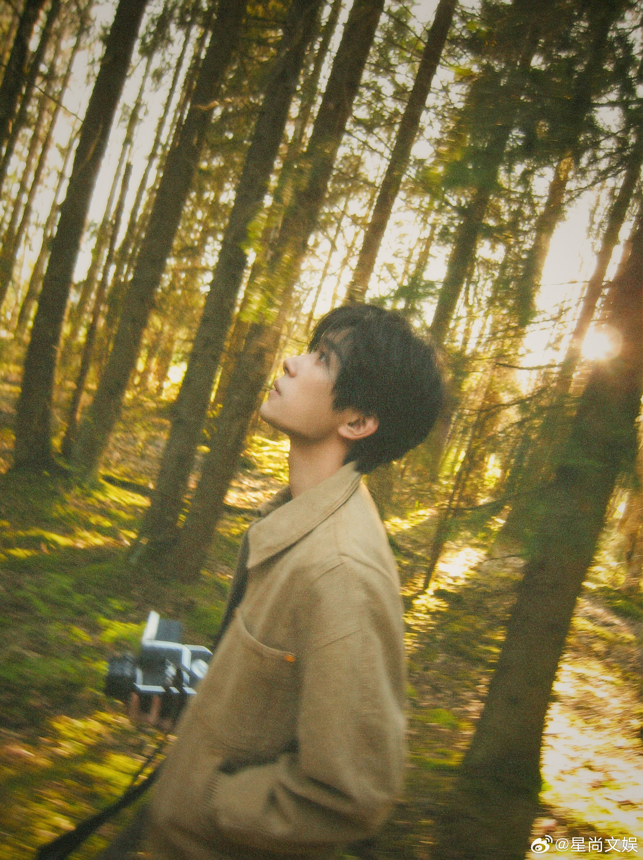 #易烊千玺林间影记plog##易烊千玺工作室发了好多照片# 易烊千玺这组照片太迷