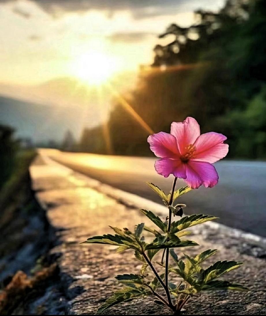 你觉得幸福应该是什么样的我觉得一个人只要没有太大的欲望，生活的越简单越快乐，每天