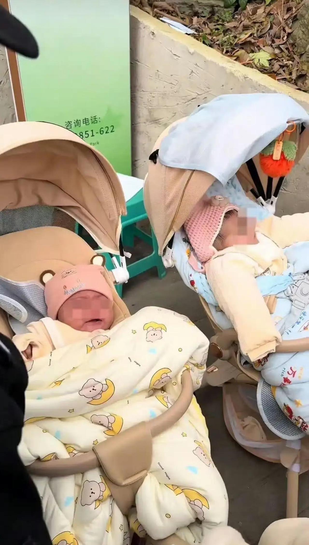 贵阳黔灵山公园最近发生了一件特别暖心的事儿，一对来旅游的外国夫妻，把双胞胎宝宝托