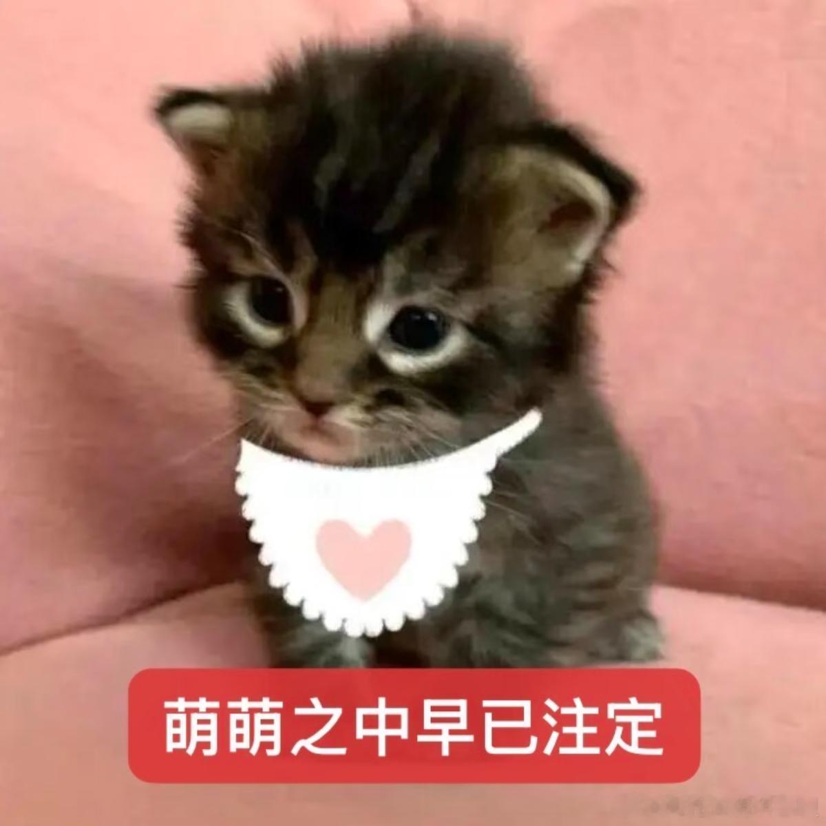 立秋快乐女孩们 