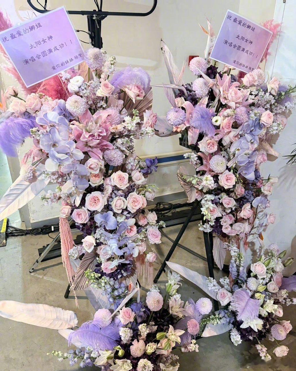 肖战刘宇宁杨紫给谢娜演唱会送花篮 肖战、刘宇宁、杨紫、宋雨琦、时代少年团、快乐家