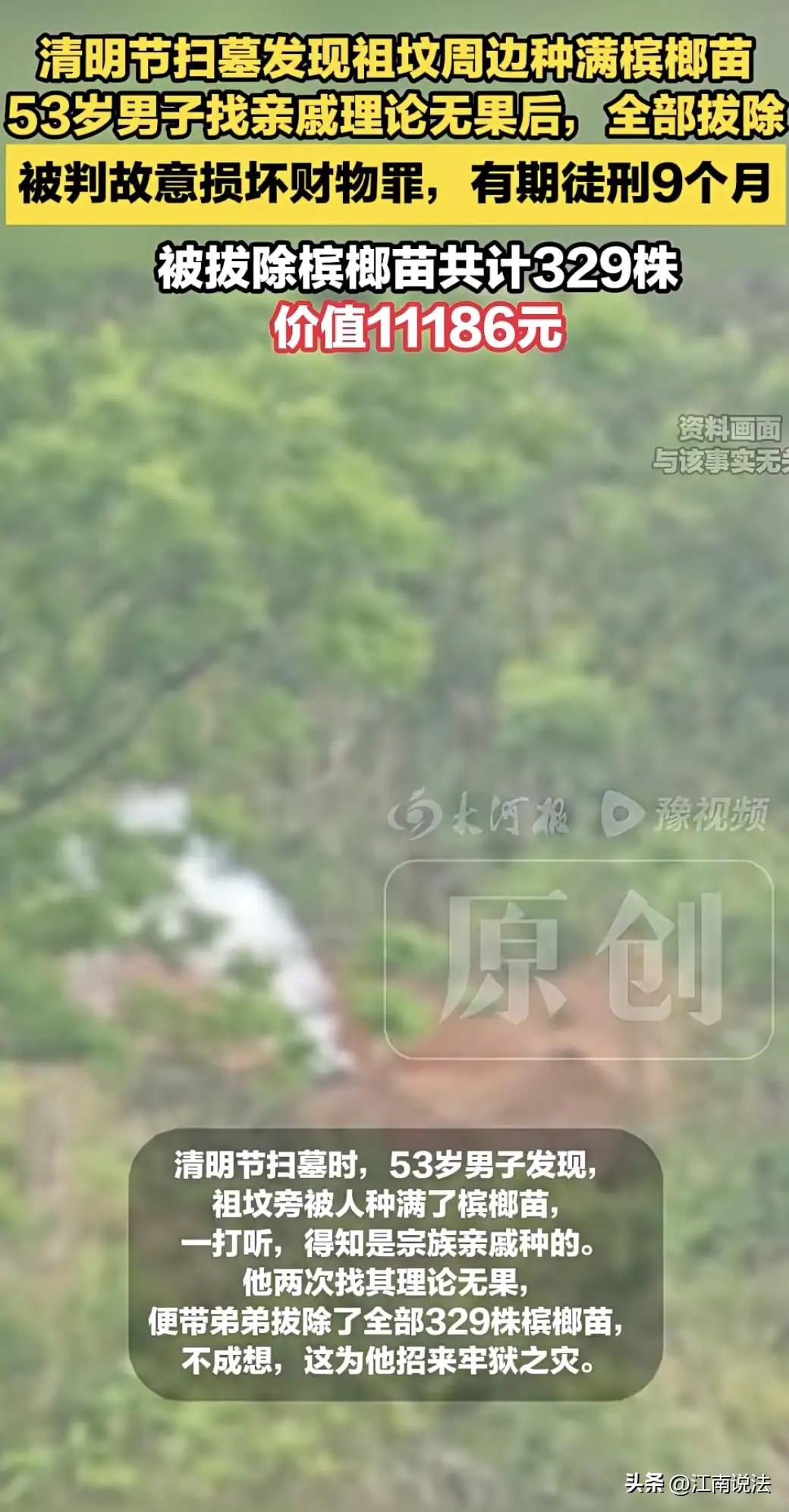 祖坟被种槟榔，拔苗竟获刑9个月！同族亲戚下死手，看完彻底寒心。
 
太离谱！海南