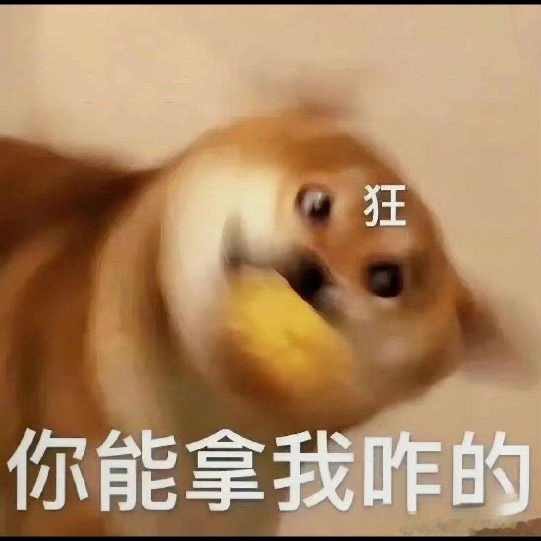 青岛文旅青岛文旅一副死猪不怕开水烫样子，用几年文旅包庇一个人，到底何方神圣