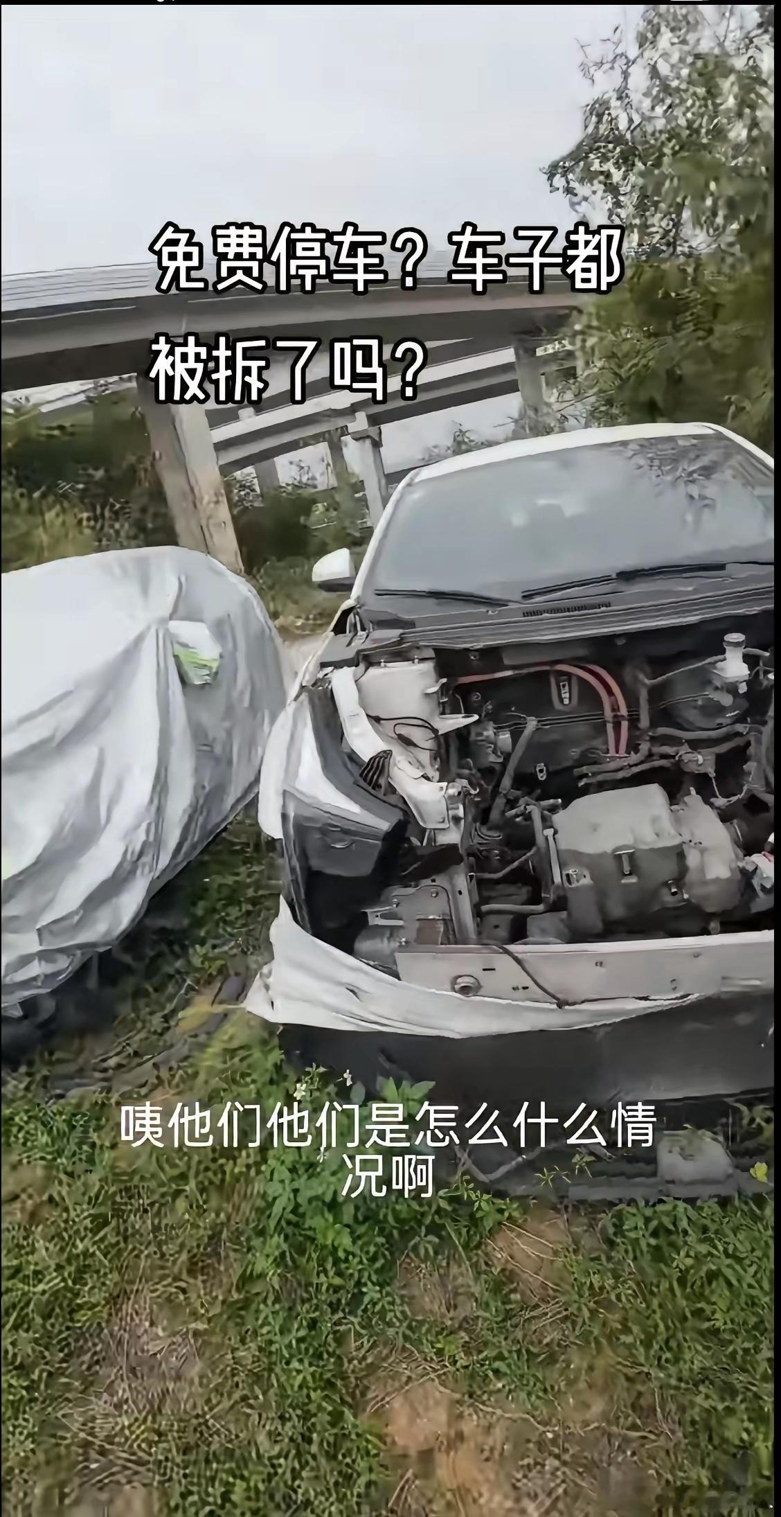 深圳的打工仔们要注意啦，车子停在荒郊野外，务必及时查看爱车状况。这类免费无人看管
