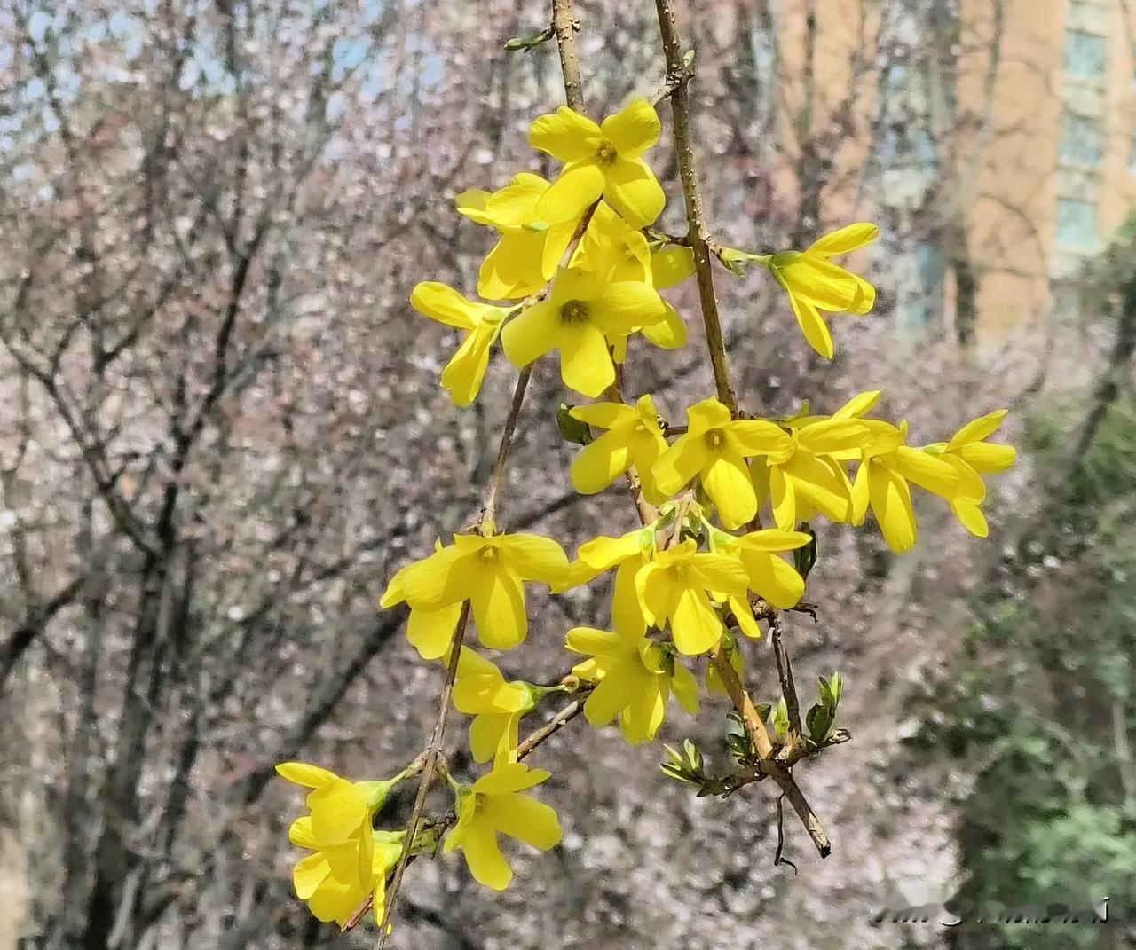 今天下午休三月份的“第二个亲情假″。按照自己的计划，今天下午应该整理第一单元的简