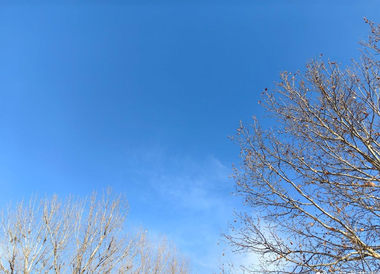 只想在这蓝天白云下平静地生活[拜托] ​​​