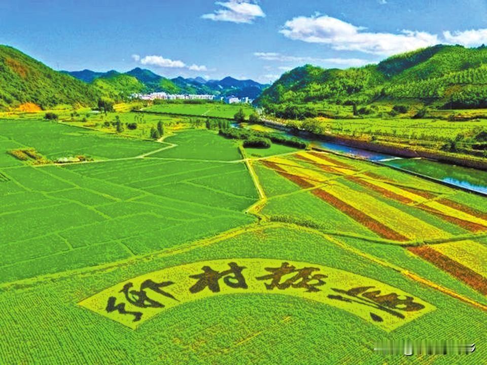 #农业是根本,农民是什么呢?#
“农民是三农的核心与主体”——这是我们自乡村振兴