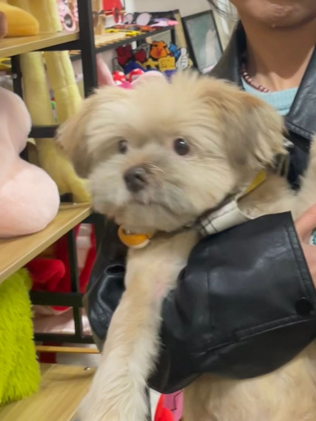 绑架代替购买