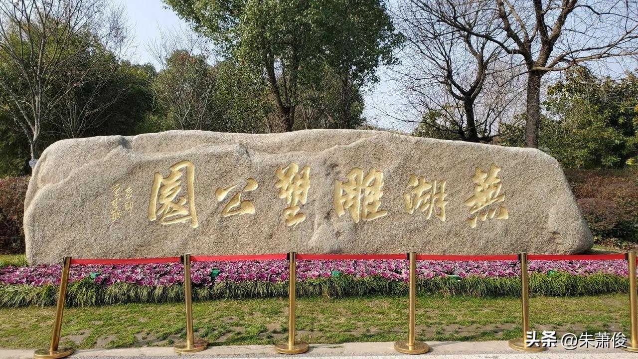 芜湖神山公园（AAA级，免费开放）是城东五山相连的城市绿心，春日郁金香盛放让本周