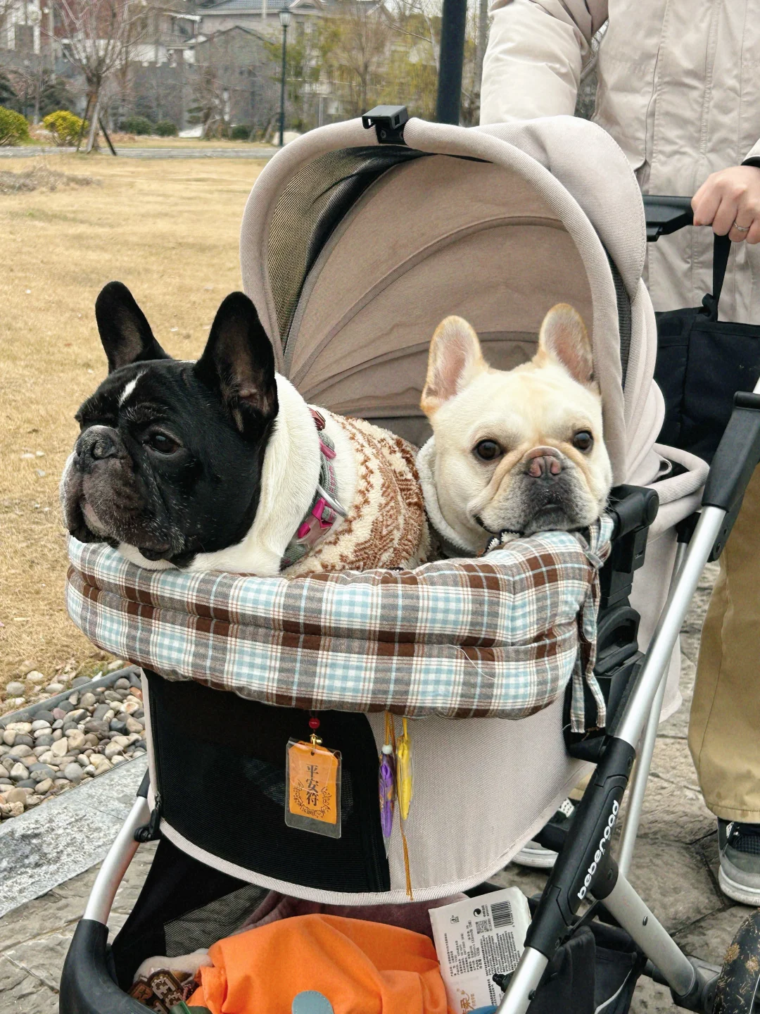 跟着大哥很安心