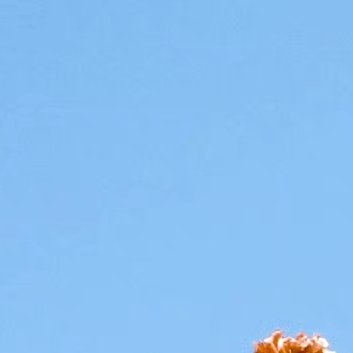 以善良为师，得到的是正义和正直的教诲，即使步履平凡，也不失不俗的境界。善良使人的