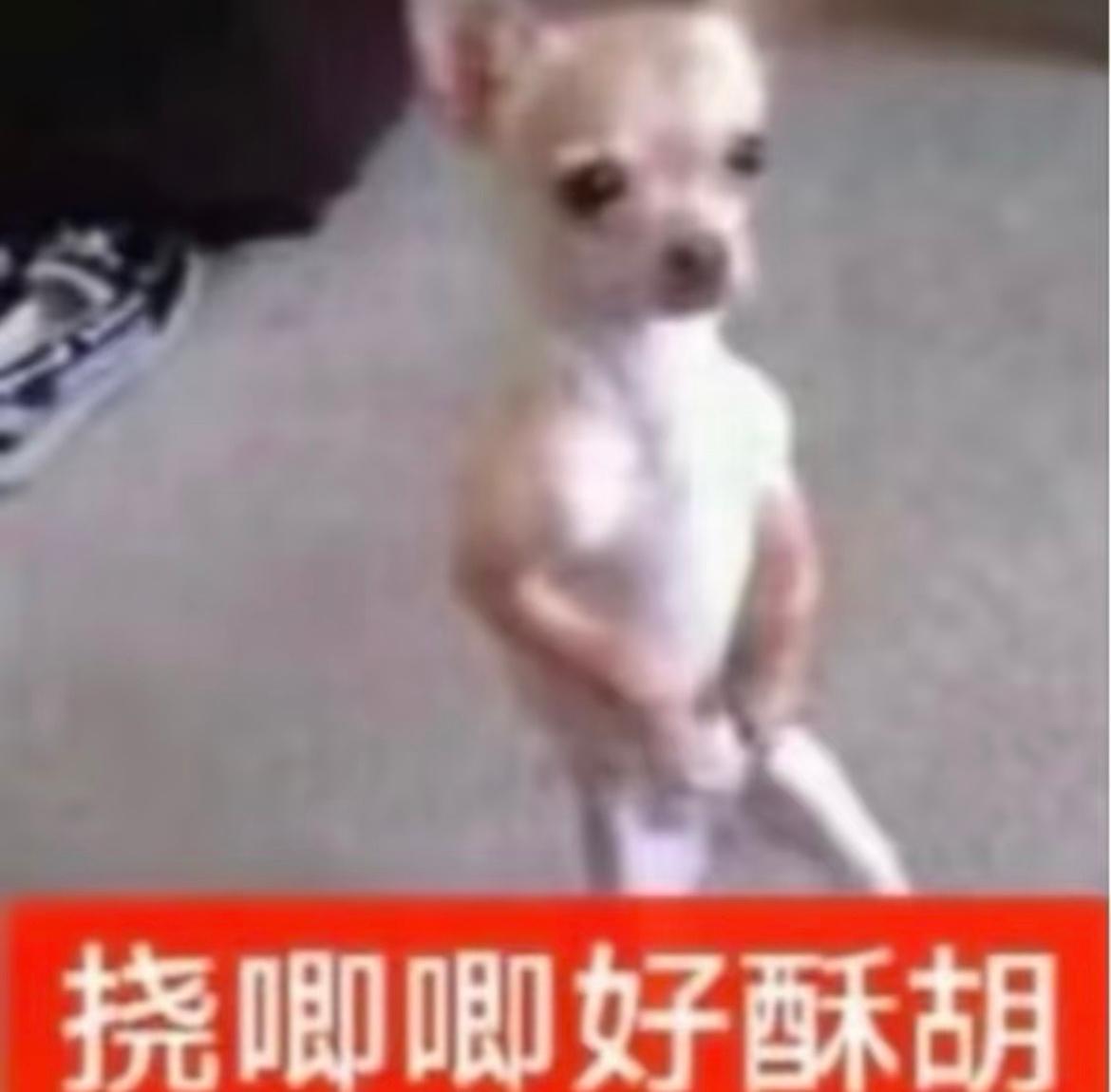 分享图片