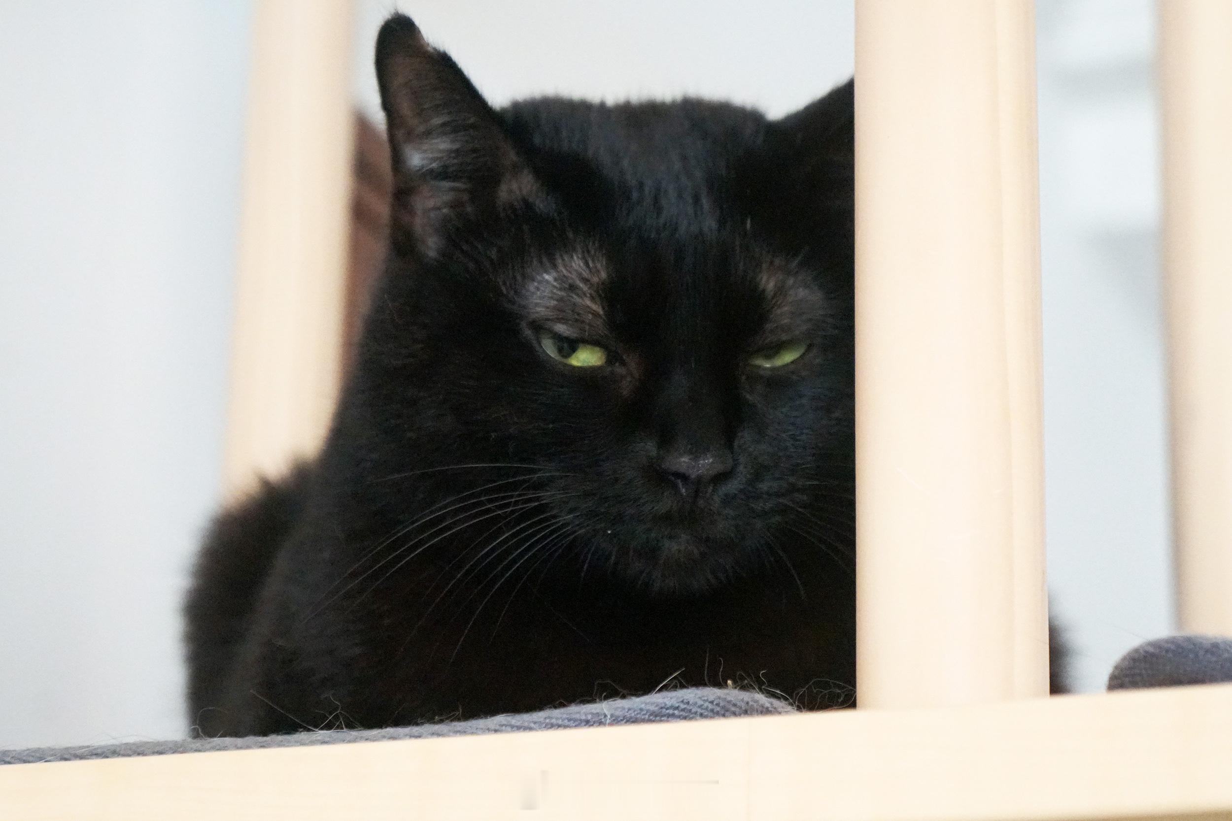 用來看臭哥哥的表情。#蝦蝦不可以太可愛# ​​​