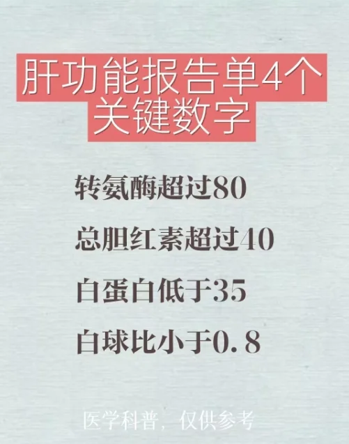 看肝功能报告单请记住这4个关键数字！