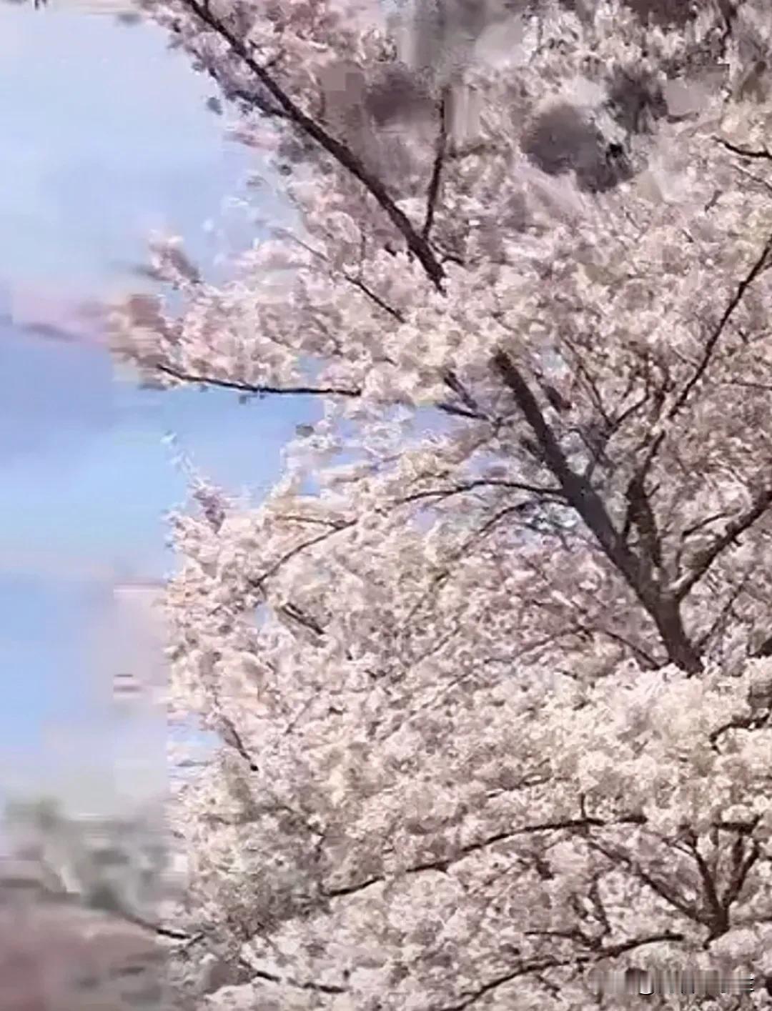 祝福老师好友兄弟姐妹朋友们五一节快乐！[祈祷][祈祷][玫瑰][玫瑰]
				