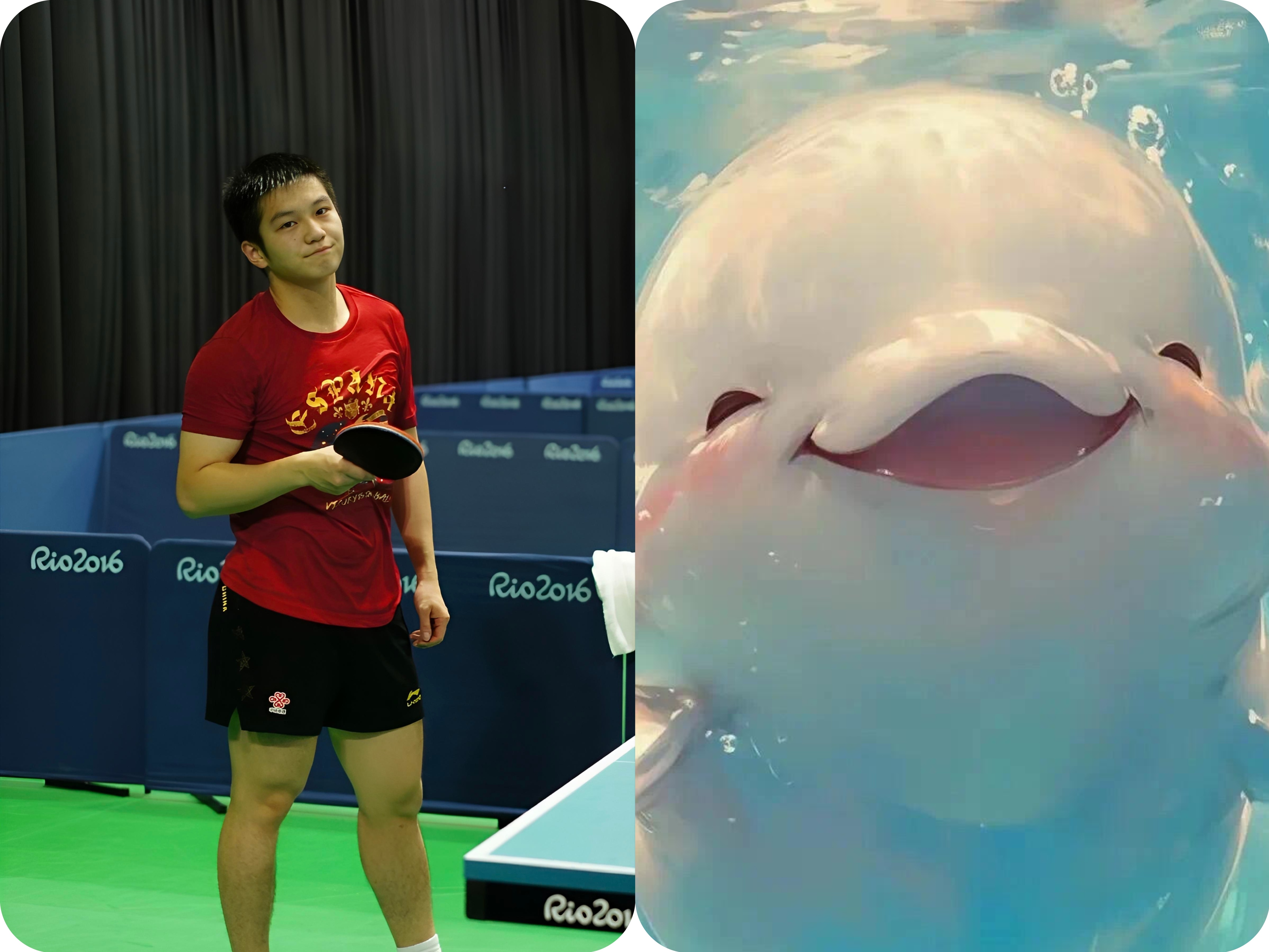 2016年时樊振东的抿嘴一笑，如小海豚般可爱。 