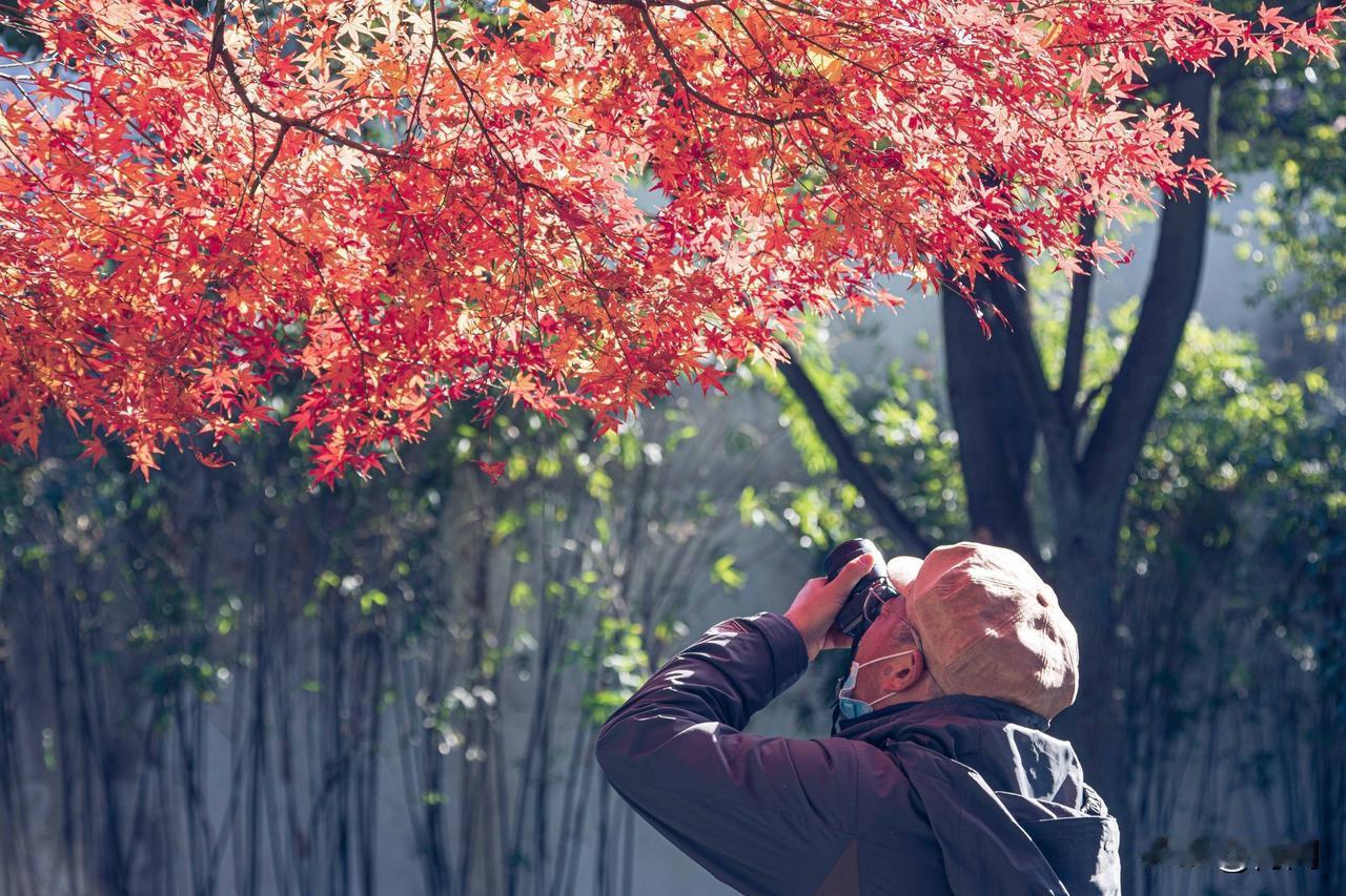 学习，是人生后半场最好的保鲜剂。人到中年，仿佛站在人生的半山腰。回首是走过的蜿蜒