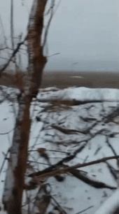 “我们已经竭尽所能，但无法在沃夫昌斯克更进一步。”1名俄军士兵注视着远处的乌军阵