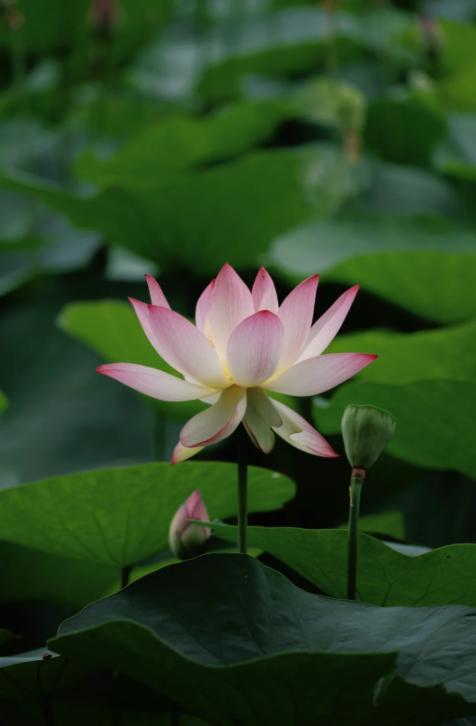 男人必学：三句话让女人瞬间破防
亲爱的朋友们大家好，我是海林小百科，今天我们来看