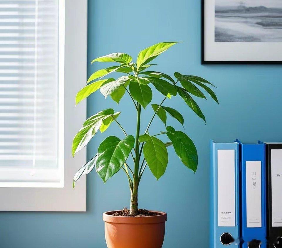 一个人能不能在职场站稳脚跟，关键在于是否懂得为自己编织“保护网”。在职场，一定要