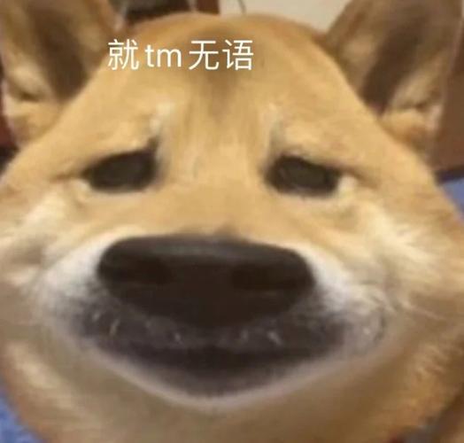 携程垄断被罚51亿后又现房价刺客因为垄断被罚了51亿吗，怎么还敢这么干。同一家酒
