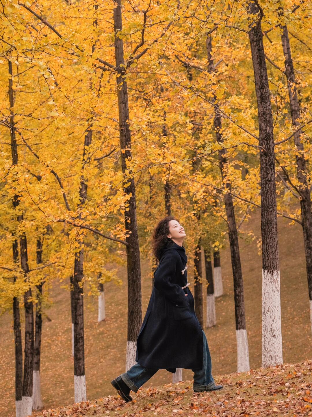 秋天怎么能不拍银杏呢？要多美有多美！
