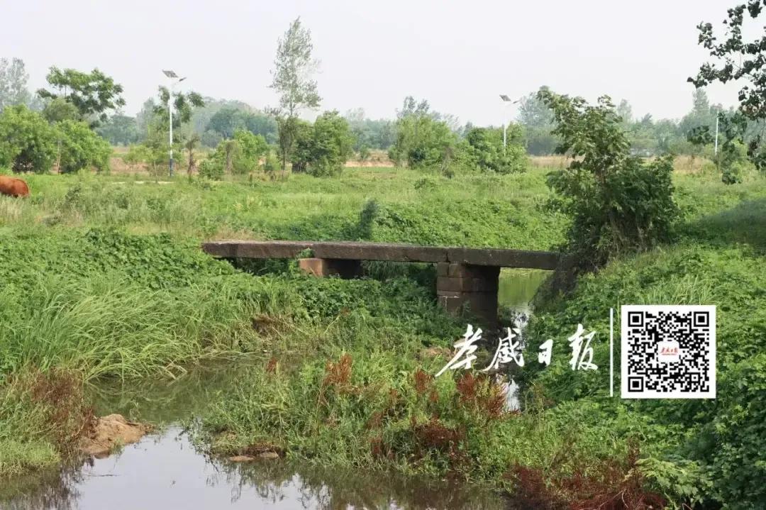 孝感有点搞笑，你们可能是实在拿不出什么过硬的东西了吧？这样一座让人看了，觉得心寒