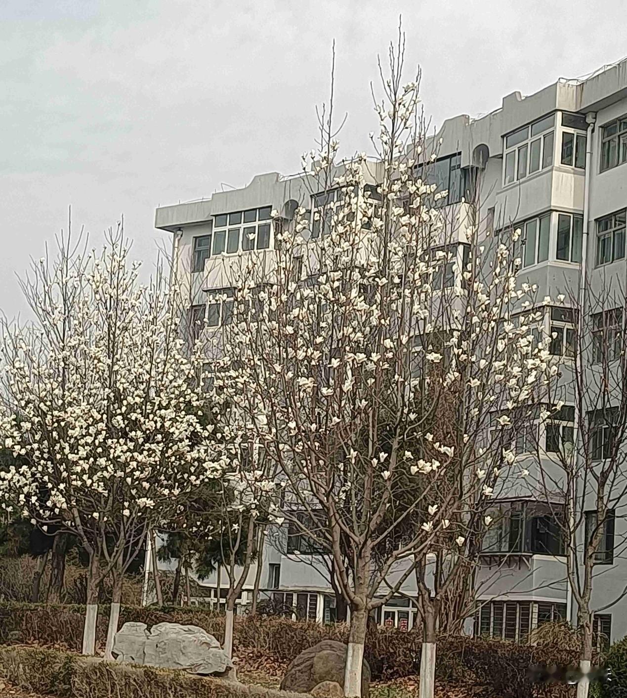 今天是4月13日，星期一，今天北京的气温比昨天下降了8度，最高气温零上19度，最