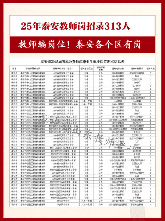 刚出！25年泰安教师招录313人