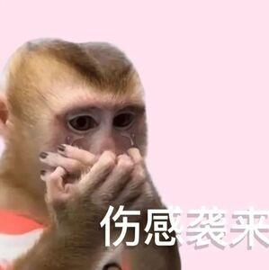 盲人女性如何度过经期？看到这个话题真的好心疼，很害怕看到一些让我产生无力感的事。