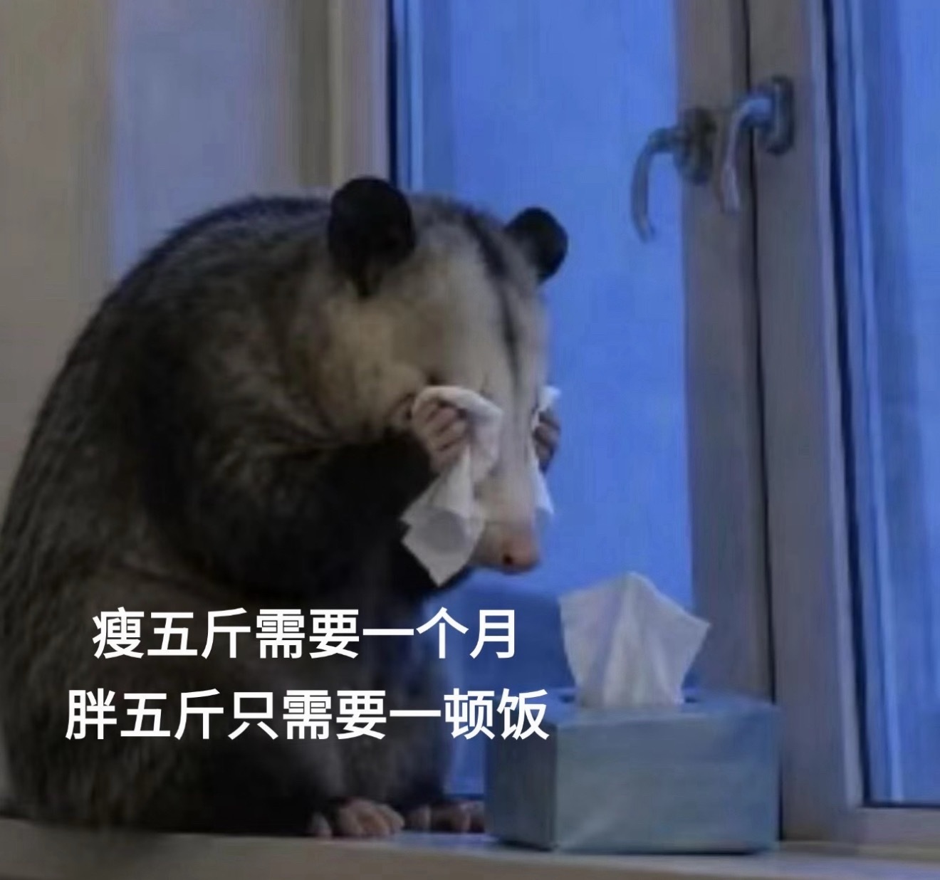 全国一起减重1亿斤谁给我分配的任务？经过我同意了吗？ 