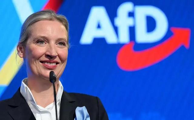 德国极右翼政党“选择党”（AfD）在萨克森-安哈尔特州（人口约220万） 的地方