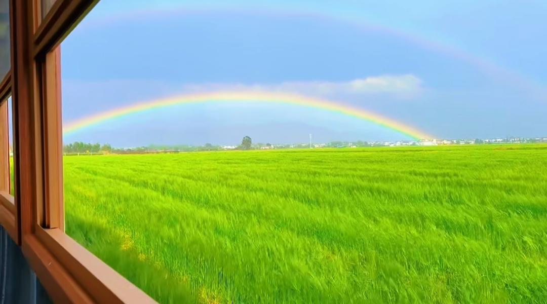 风吹麦浪，虹落人间，这是喜洲给的惊喜。