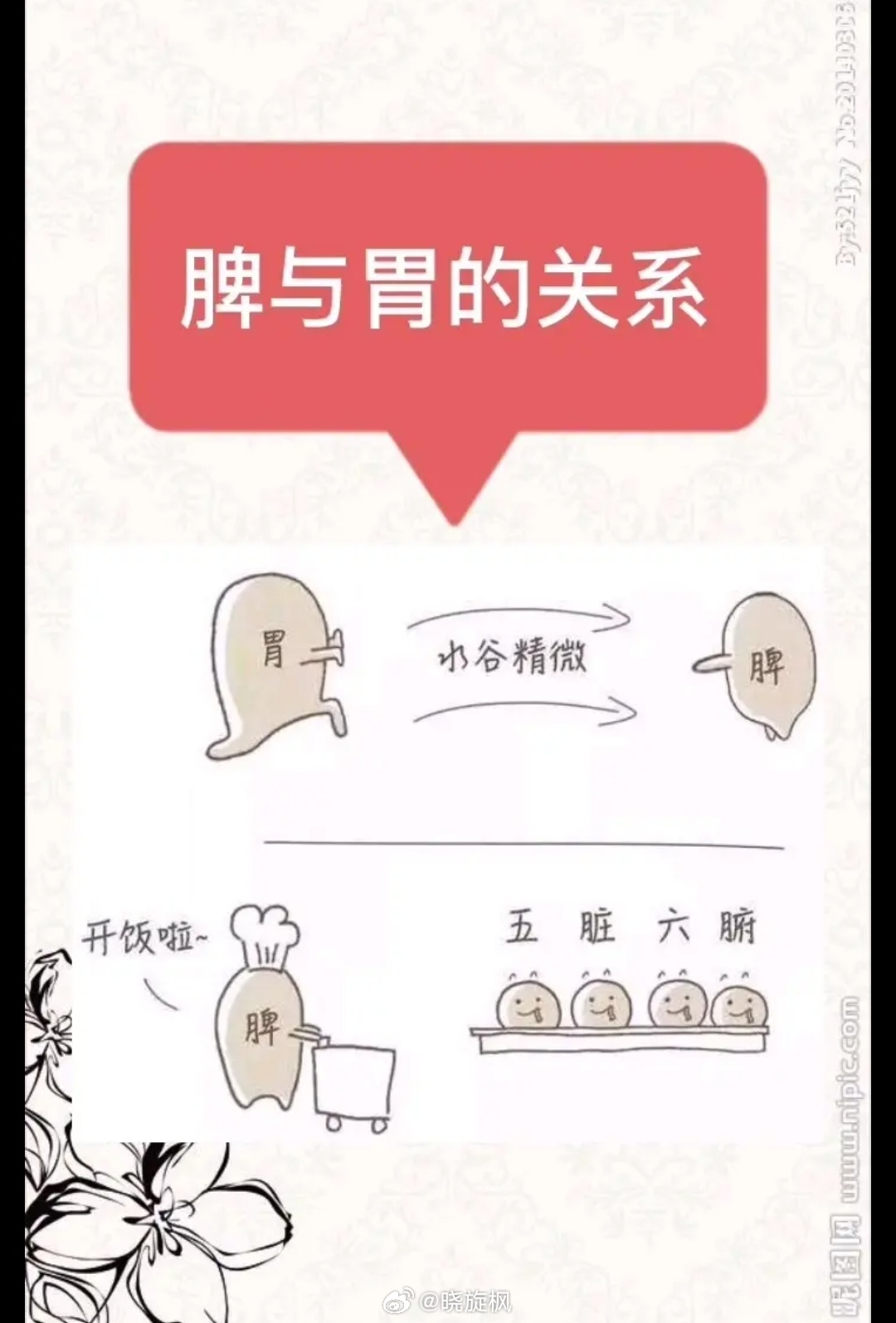【#脾胃虚弱的人脸上有4个表现#】华夏生生医学【脾胃】证候【#典籍里的中医#】（