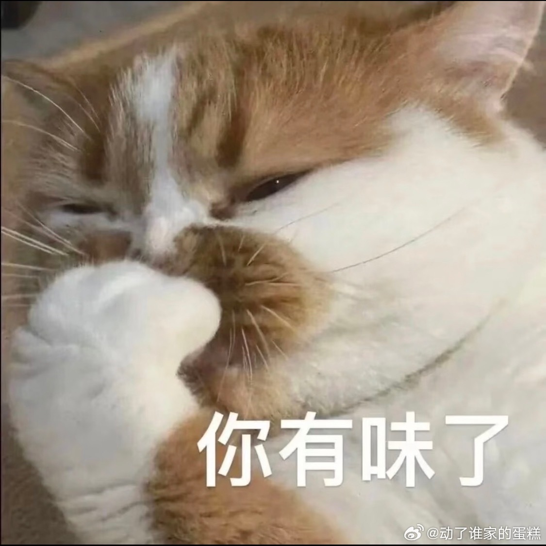 SM起诉aespa黑粉内娱是你们棒子的公堂吗？钱挣内地的，态度是不端正的，维权是