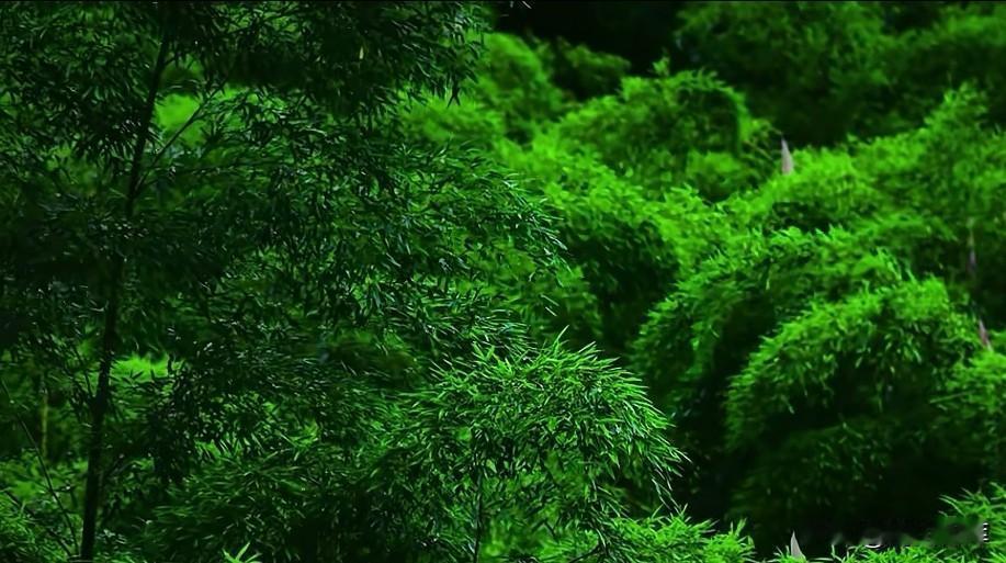想赚钱就认真研究市场需求，包括家庭，企业，政府的需求，你认同这个观点吗？
赚钱，