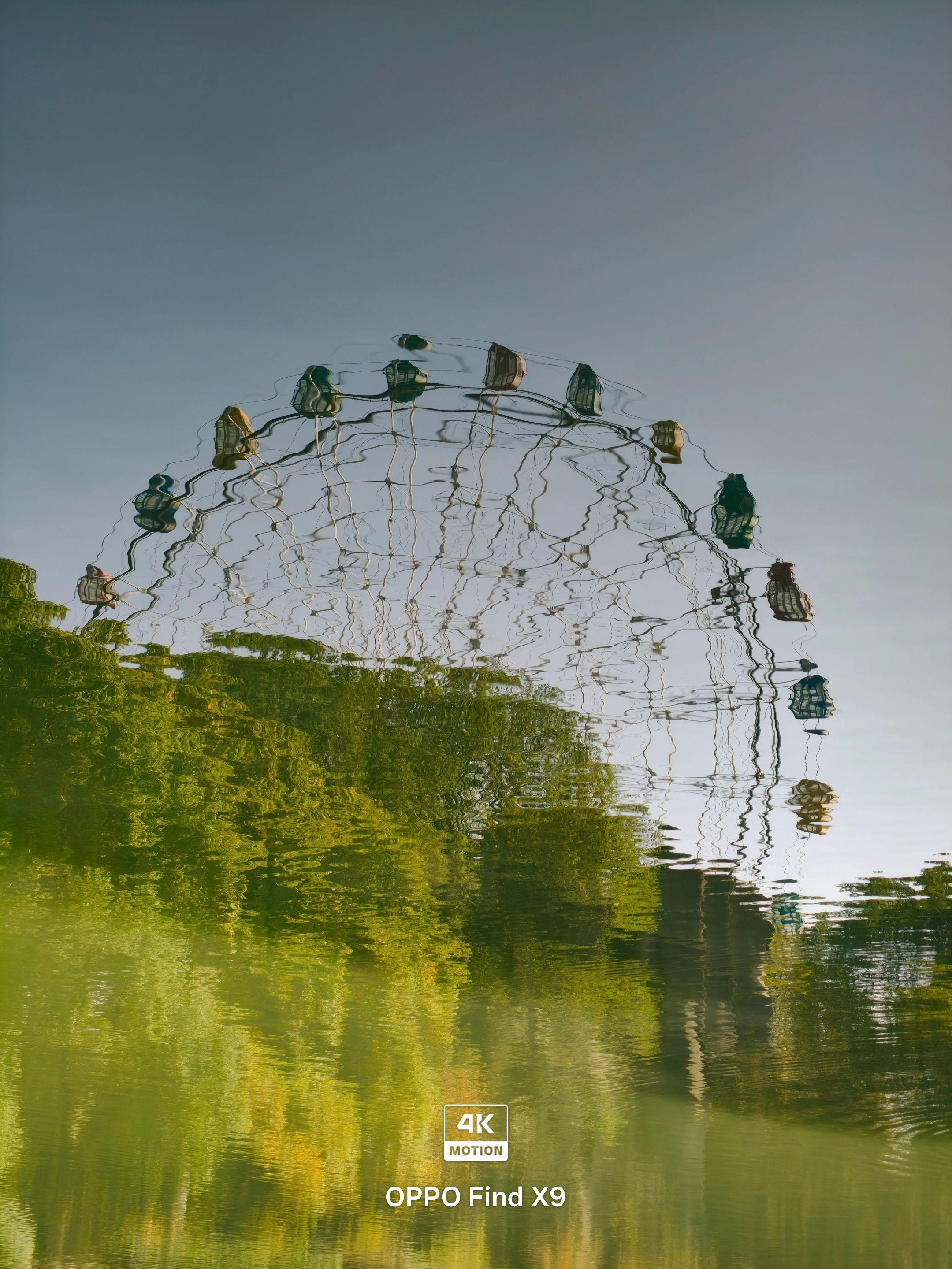 👉 周末在公园散步，抬头就被这抹蓝绿撞了满怀！🌳阳光透过树叶洒下来...