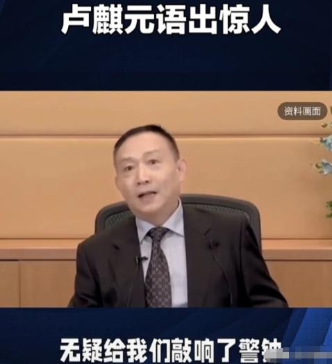 卢麒元不久前发文指责一些人试图把水、电、网、数据等重新私有化，并且用英文期刊掩护