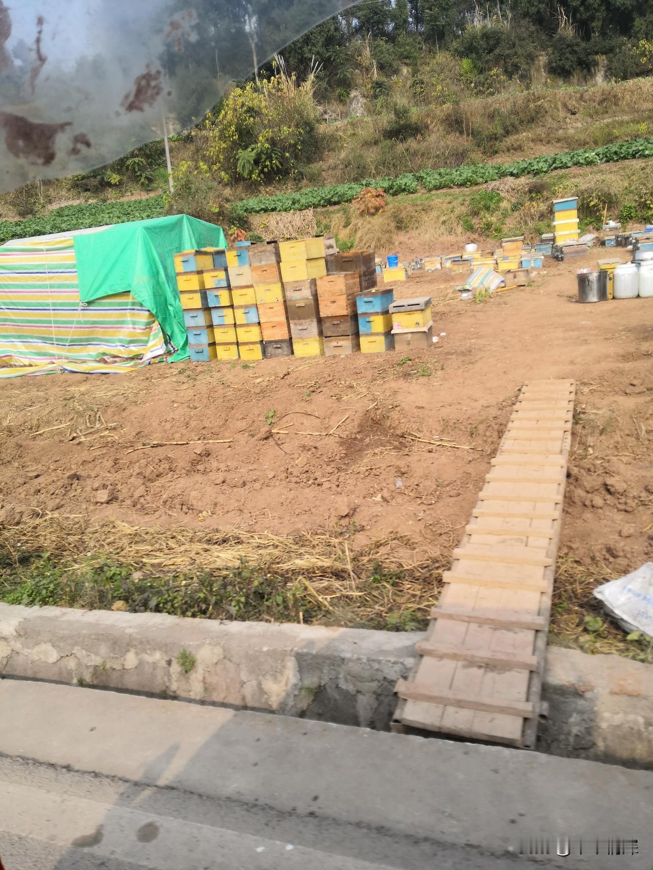 冬日的阳光洒满了中江冯店大地上，这张图片中可以看到，在即将上坡的时候，看见了很多