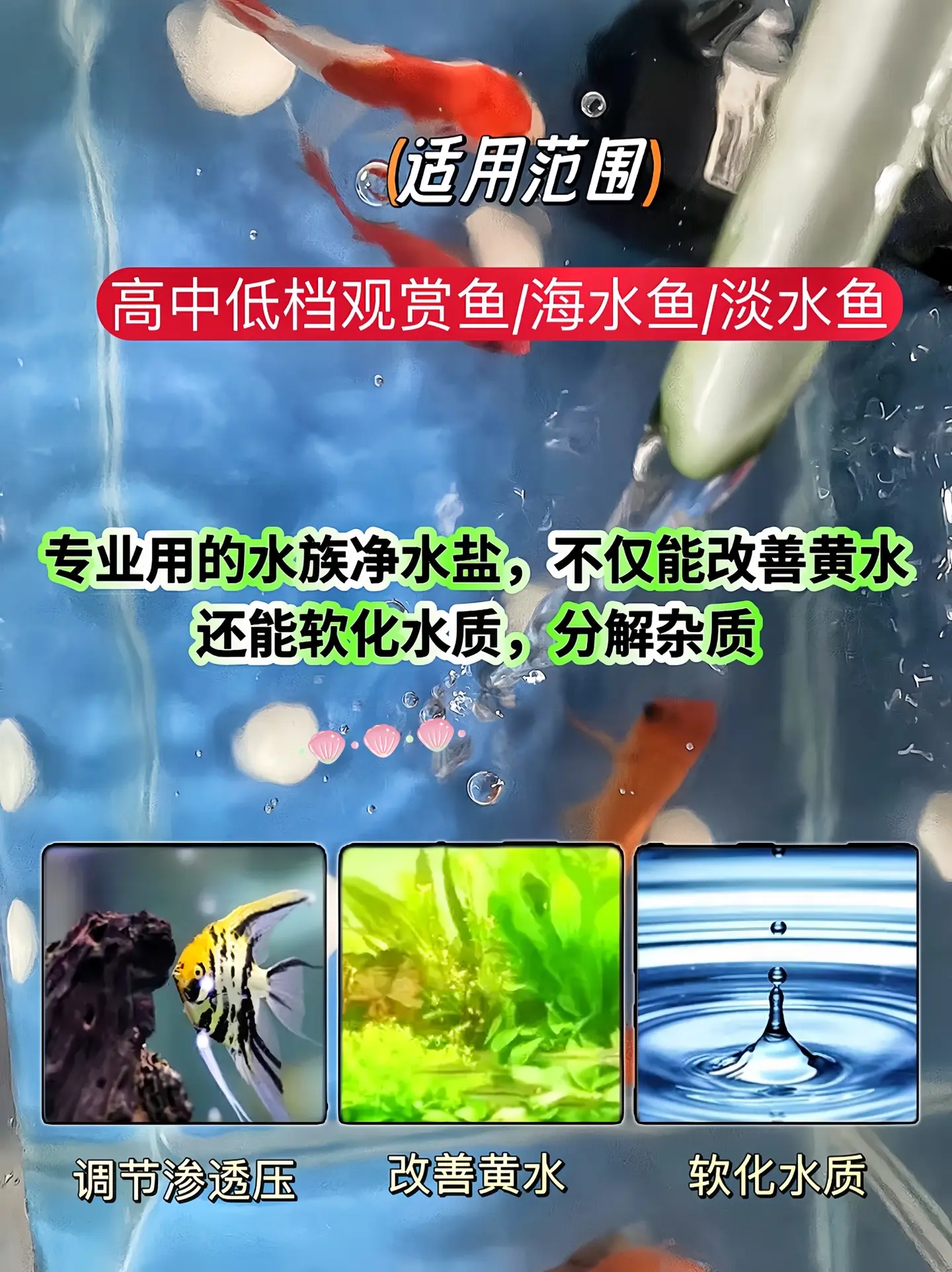 哥哥们，养鱼专用盐开来啦，养鱼必备，调节渗透压改善黄水，软化水质