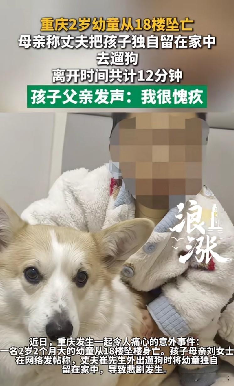 不敢想象是一个怎样的父亲能把一个两岁大的孩子独自一个留在家里，反而他去遛狗

他