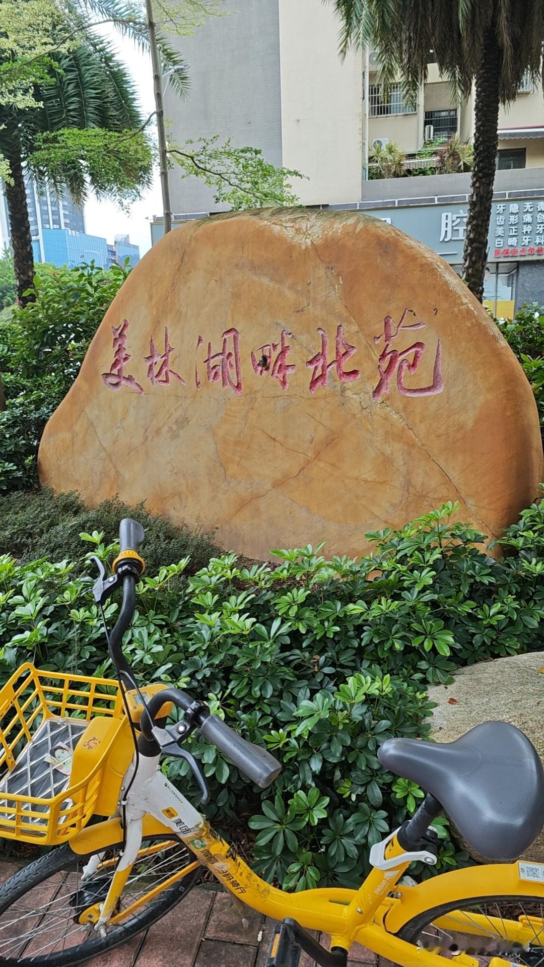 白河桥、湍河桥不及芒果！