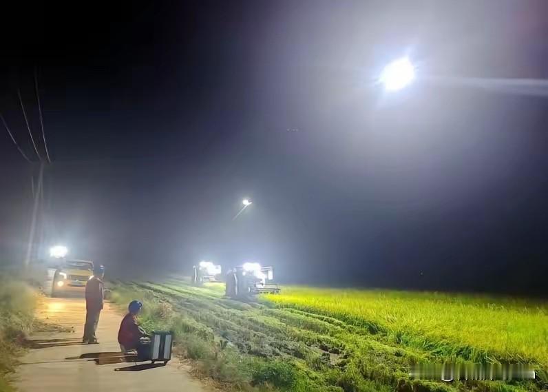 泪目！河南，一男子和妻子深夜在地里施肥，休息时，他无意间发现妻子躺在田埂上睡着了