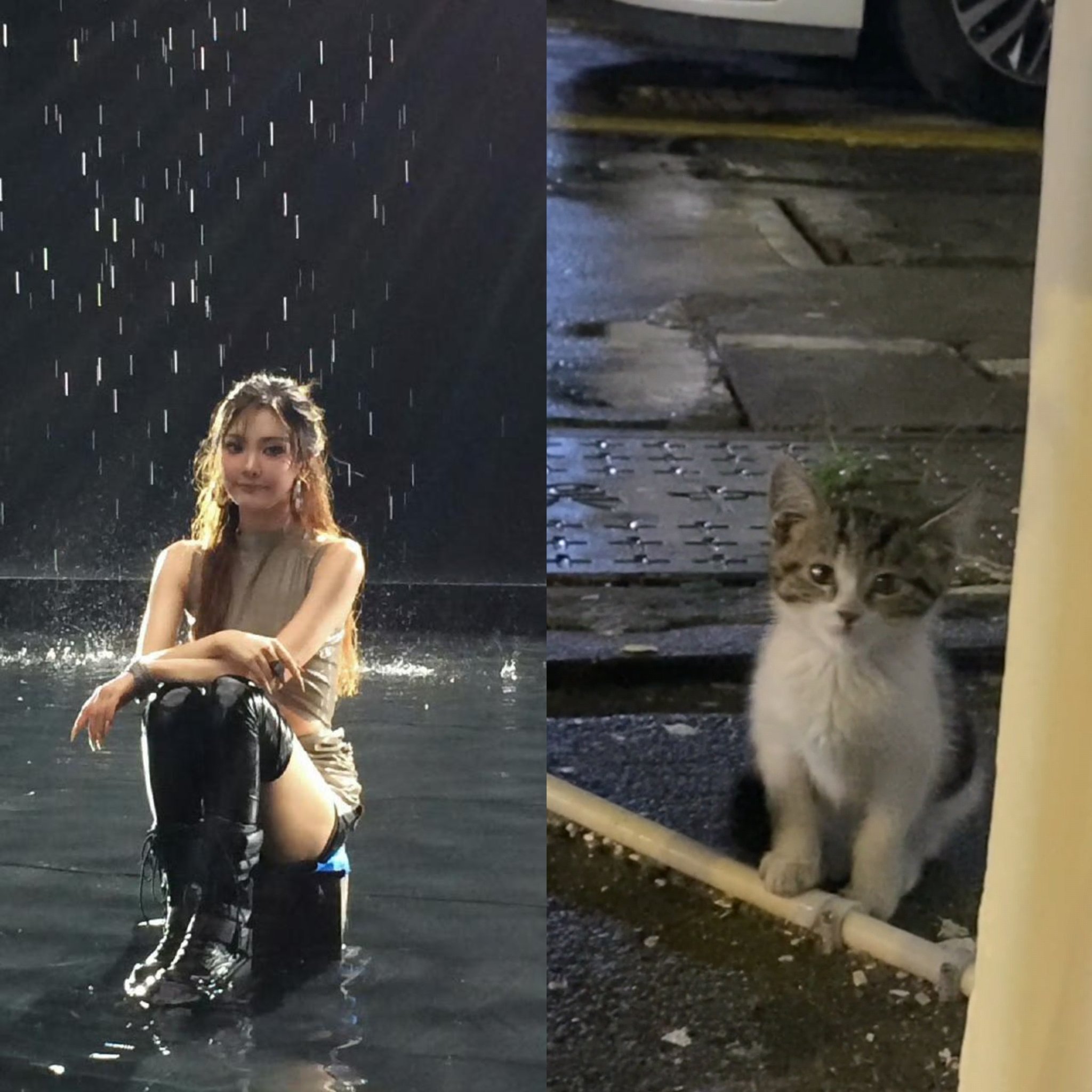 宁艺卓[超话]  我来接你回家了小猫 ​​​